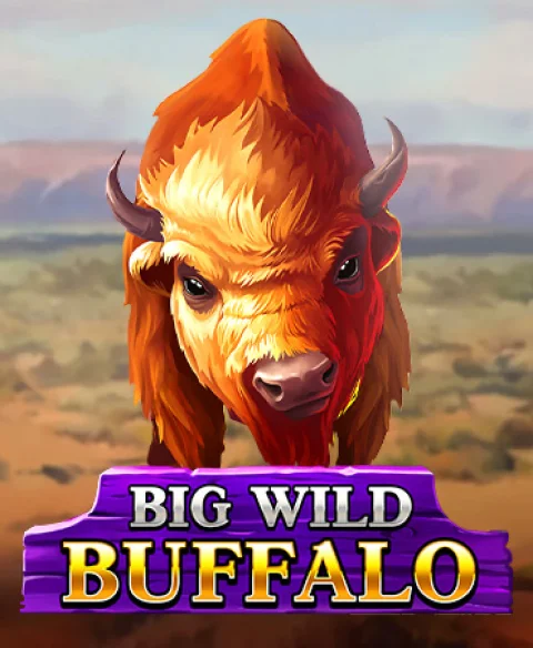 Play Big Wild Buffalo at Bounce Bingo Casino